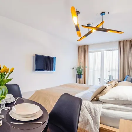 Apartment Deluxe Loft 33 C Perlowa Przystan - *